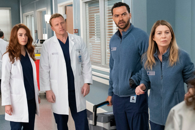 What to Expect in the Next Season of Greys Anatomy