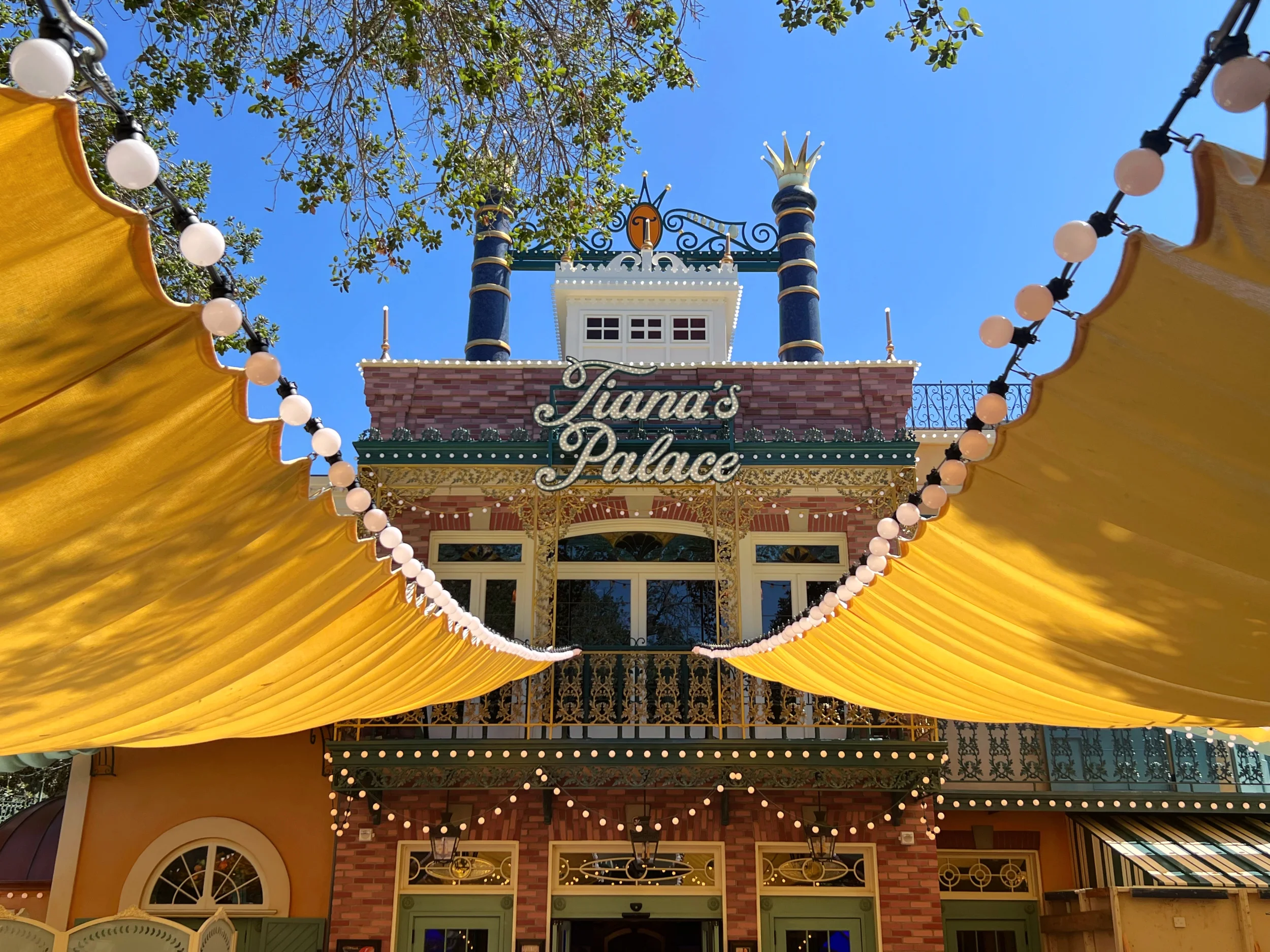 Walt Disney's PRINCE NAVEEN Princess & The Frog Film Window Cling