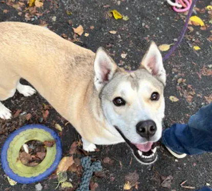 Perfect Companions: Meet Rya